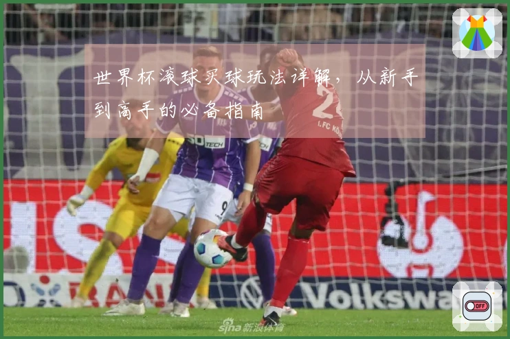 世界杯滚球买球玩法详解，从新手到高手的必备指南