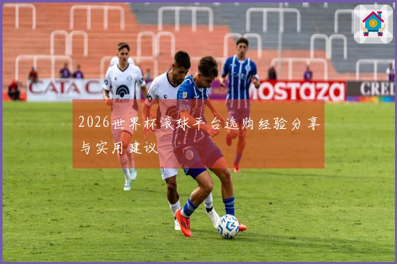 2026世界杯滚球平台选购经验分享与实用建议