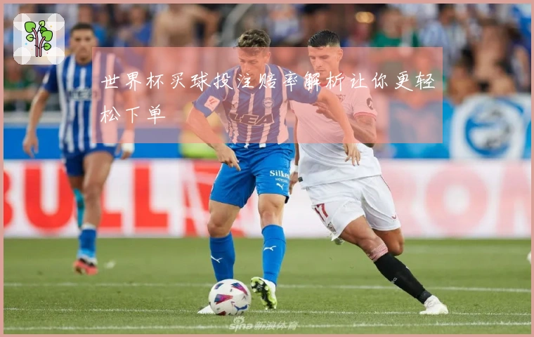 世界杯买球投注赔率解析让你更轻松下单