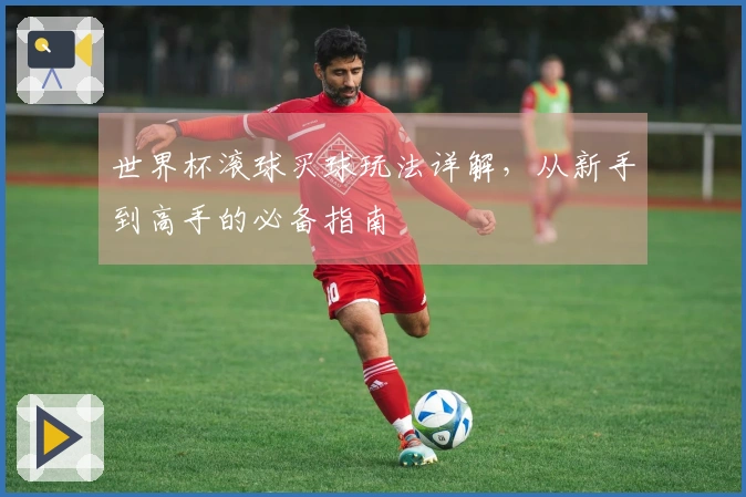 世界杯滚球买球玩法详解，从新手到高手的必备指南
