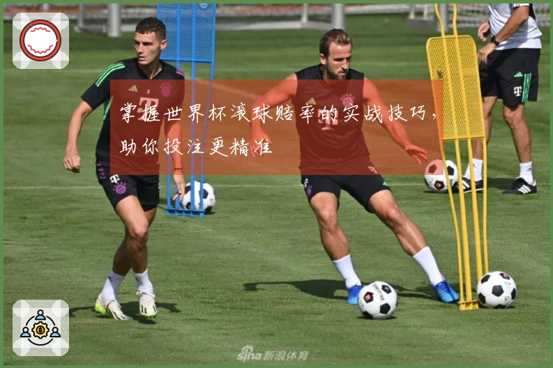 掌握世界杯滚球赔率的实战技巧，助你投注更精准