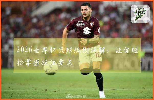 2026世界杯买球规则详解，让你轻松掌握投注要点